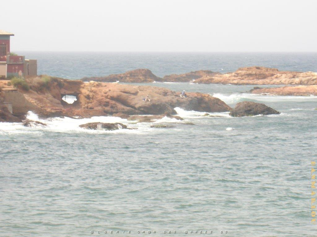 oran 153.jpg